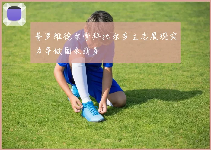 普罗维德尔崇拜托尔多立志展现实力争做国米新星